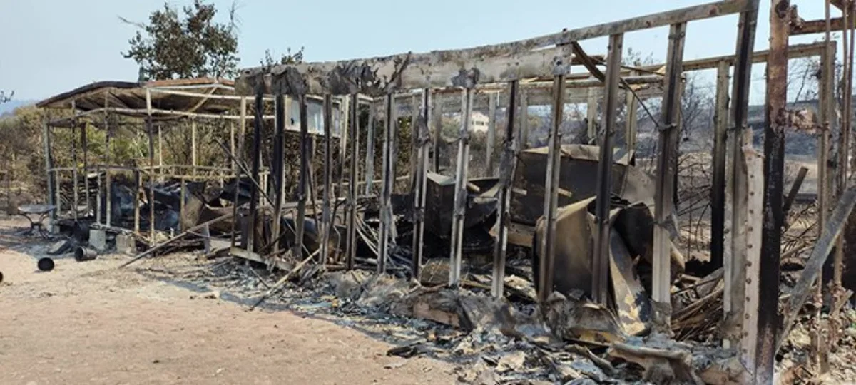 Χίος: Άνοιξε η πλατφόρμα myBusinessSupport για τις πυρόπληκτες επιχειρήσεις του 2025