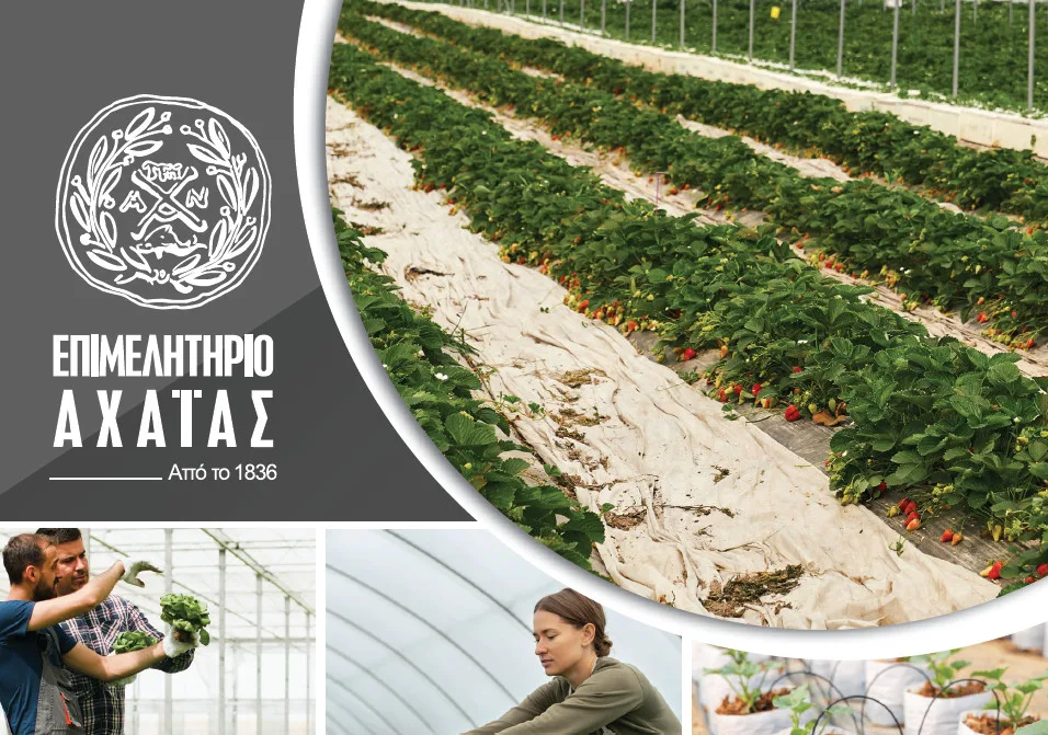 Το Επιμελητήριο Αχαΐας ενισχύει τον αγροτικό τομέα με το νέο Αγροτικό Τμήμα