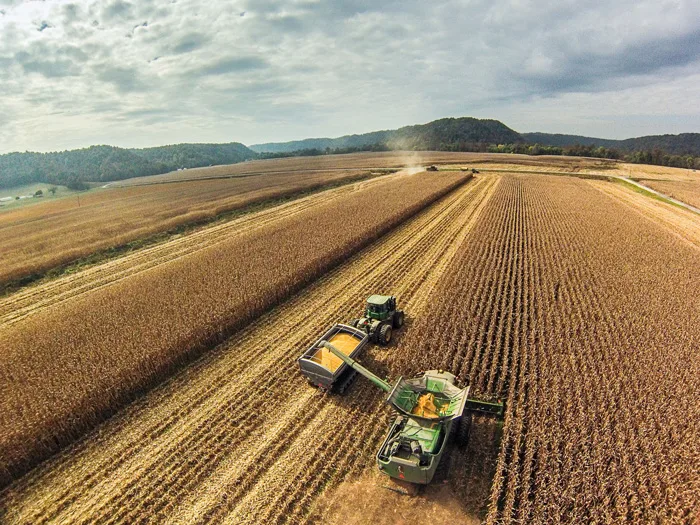 Δασικοί χάρτες: Χιλιάδες ιδιοκτήτες κινδυνεύουν να χάσουν γη – Τι ισχύει με τις αγωγές του Δημοσίου