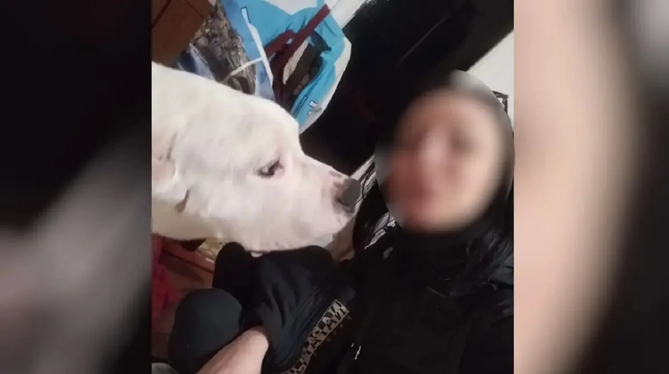 Νέα ιατροδικαστικά δεδομένα στην υπόθεση της 31χρονης στον Κολωνό – Δεν ήταν έγκυος, στο μικροσκόπιο τα τραύματα