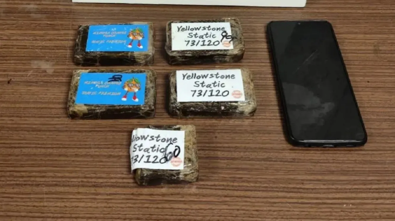 Πανεπιστημιούπολη Ζωγράφου: Στη σύλληψη 31χρονης για διακίνηση κάνναβης «σοκολάτα» προχώρησε η ΕΛΑΣ